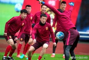 中国足球新闻爆料,独家爆料揭示幕后真相